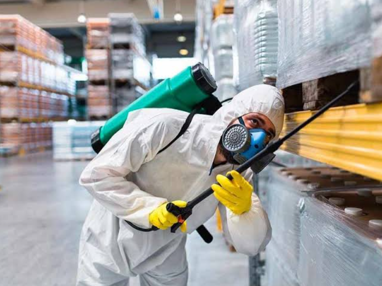 Técnico de IAMIP inspeccionando anaqueles en una bodega
